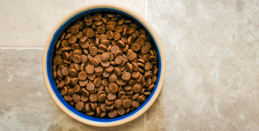 clanek 7 - pece 2026 2